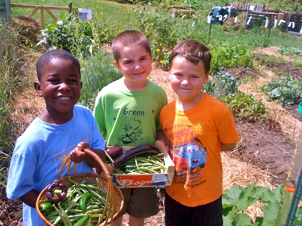 Thumbnail image for IMG_2055-harvest at raynor farm.jpg